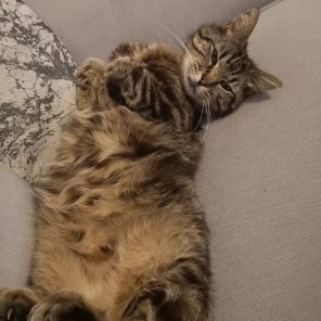 TABITHA