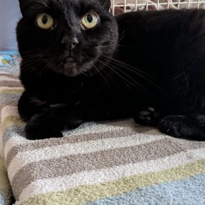 650654512_901586102498798_6420422468914660625_n