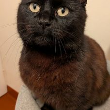 668627415_2039417990315857_2979683218366831748_n